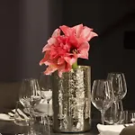 Spacious Renovated 2br Townhouse Cavour 41, Historic Centre * オルビア
